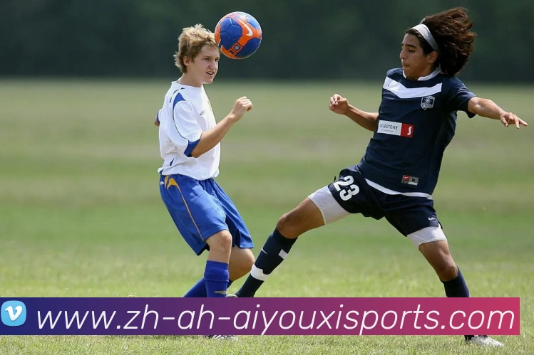 爱游戏体育APP 封面图